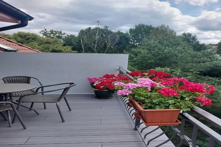 Large Apartment In Sopot